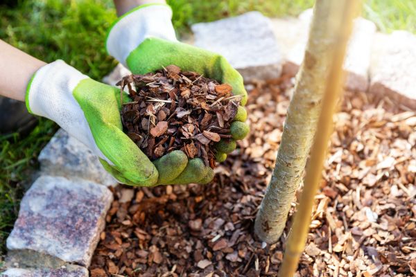 Tree Bark Delivery in Naples
