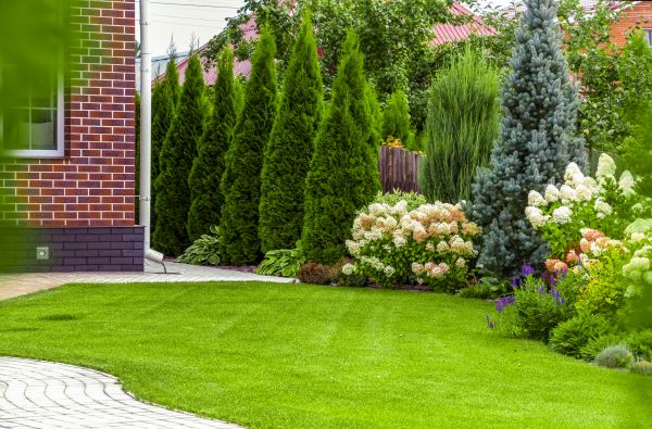 Spring Landscaping in Naples