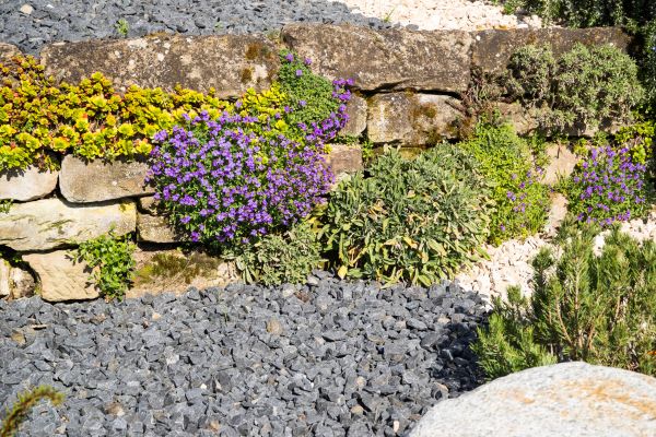 Landscaping Rocks Installation in Naples