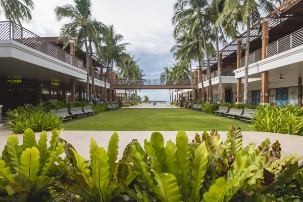 Commercial Lawn Renovation in Naples