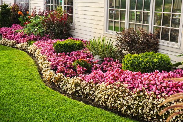 Garden Landscape Design in Naples