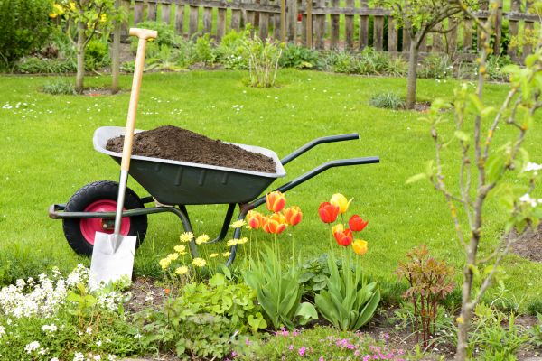 Spring Yard Renovation in Naples