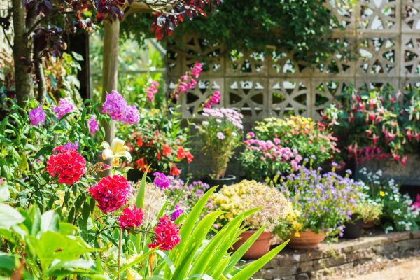 Spring Garden Maintenance in Naples