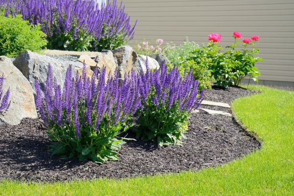 Landscape Planting Service in Naples