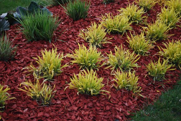 Red Mulch Installation in Naples