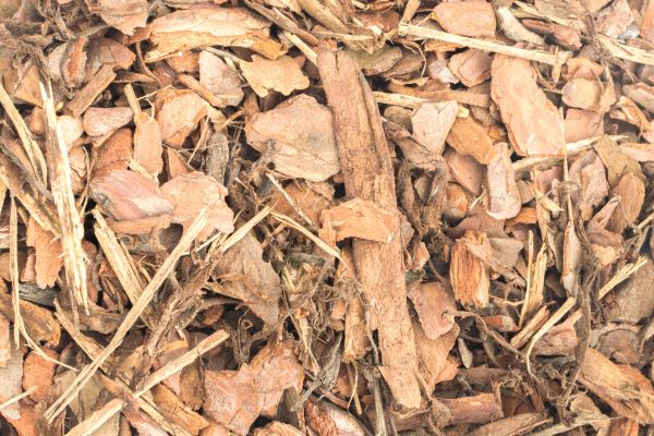 Bark Mulch Installation in Naples