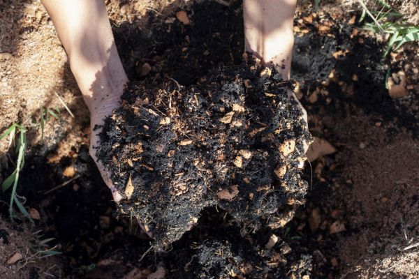Organic Mulch Installation in Naples