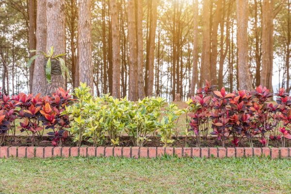 Small Garden Landscaping in Naples