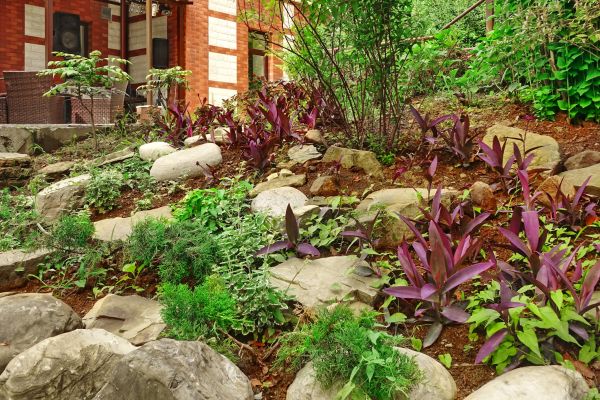 Rock Garden Landscaping in Naples