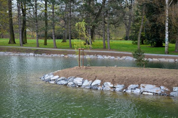 Pond Landscaping Service in Naples
