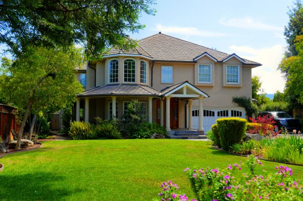 Large Yard Landscaping in Naples