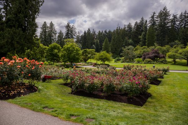 Flower Garden Landscaping in Naples