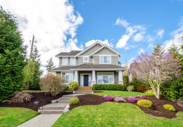 Landscaping Replacement in Naples