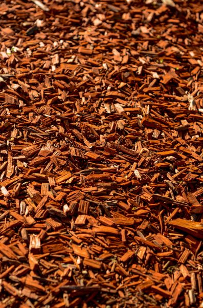 Cedar Mulch Spreading in Naples