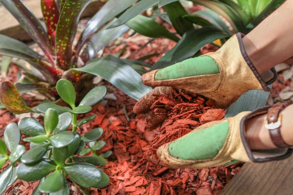 Residential Mulching in Naples
