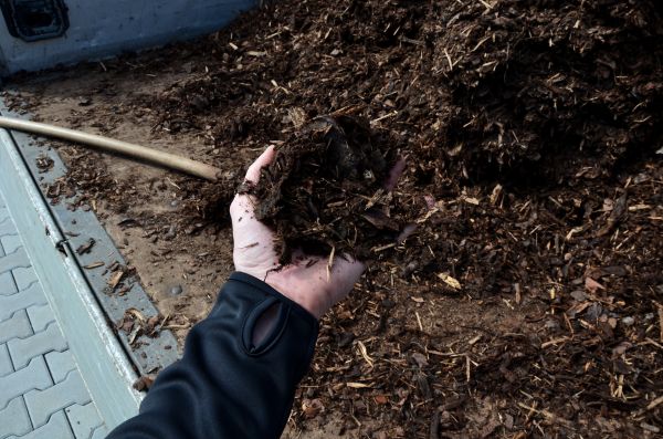 Condo Mulching in Naples