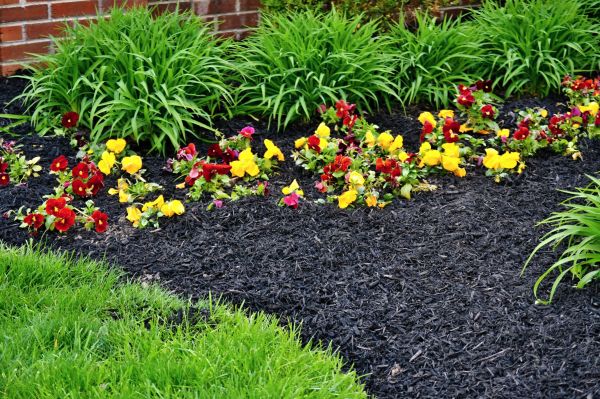 Apartment Mulching in Naples