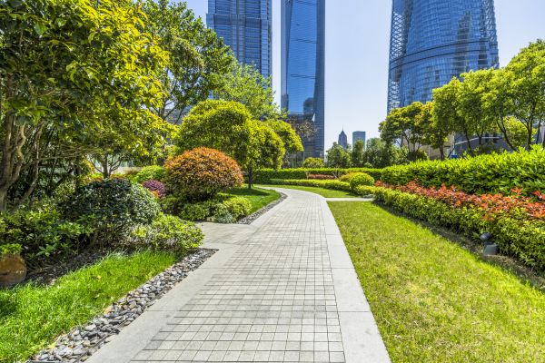 Commercial Landscaping in Naples