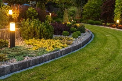 Landscape Curb Appeal Service